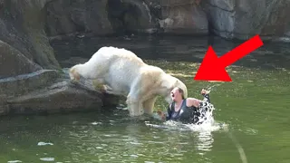 Unglaubliche Zoo Angriffe auf Menschen!