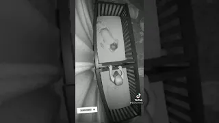 Twin relationship captured on baby monitor