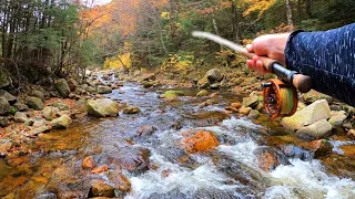 Small Stream EURO NYMPHING For BROOK TROUT | Vermont