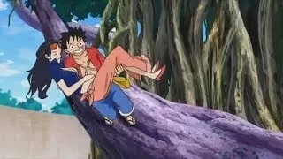 Luffy & Robin || Firework