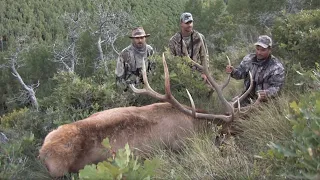 380" Southern Utah Elk Hunt with Mike Campbell