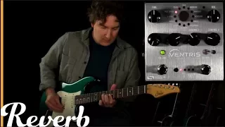 Source Audio Ventris Dual Reverb | Reverb Tone Report Demo