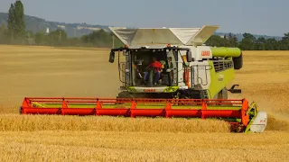 Árpa aratás/Barley harvest 2020 NEW Claas Lexion 7700, 5x Claas Lexion