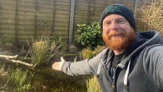 The benefits of a Wildlife Pond - Let me create one for you