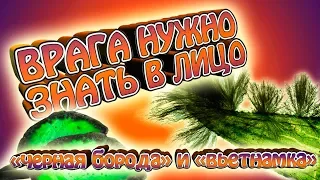 Врага нужно знать в лицо!!! - Вьетнамка и черная борода. Как победить???