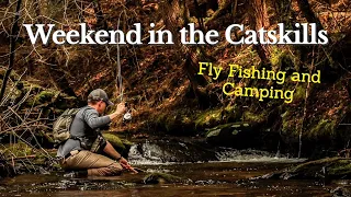Fly Fishing and Camping in the Western Catskills - Wild Trout