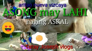 Asong may LaHi maging ASKAL pinabayaan nag iba kulay