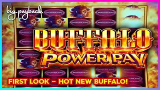 Buffalo Power Pay Slot - HOT NEW GAME!