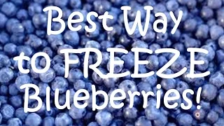 BEST WAY TO FREEZE BLUEBERRIES