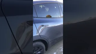 Tesla Model Y:Water gushing out from rear driver side door after wash and rain.