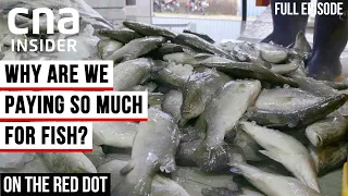 Why Is Fish So Expensive? | Talking Point | Full Episode