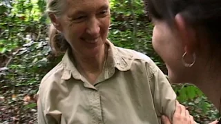 Jane Goodall: Hero - Tribute to Dr. Goodall for her 80th birthday in 2014