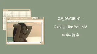 【不專業繁體中字MV/中文字幕/韓文字幕】규빈(GYUBIN) – Really Like You 中字