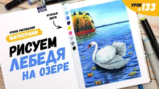 Как нарисовать лебедя? / Видео-урок по рисованию маркерами #133