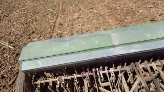 Sowing oats 2017