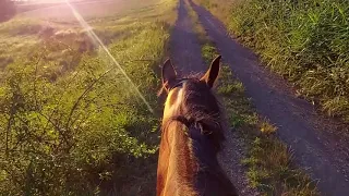 ASMR Virtual Horse Ride | August |  nature | relax | summer | ZeuneS