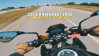 Pure Sound of the Kawasaki Z800 | INSANE EXHAUST | 3 Minutes of Bliss