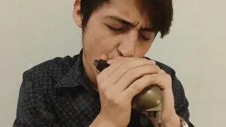 Nothing Else Matters- Harmonica Cover by Bryan Harp