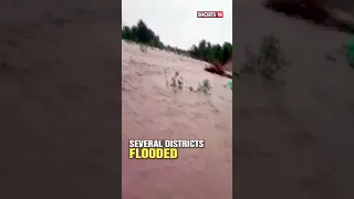 Rajasthan News | Rajasthan Flood Situation | Biparjoy Wreak Havoc In Rajasthan | #floods | #shorts