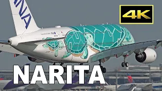 [4K] 90 Big Jets From Morning To Night - Plane Spotting at Tokyo Narita Airport / 成田空港