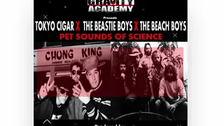 Beastie Boys-Ch Check It Out ( Tokyo Cigar Remix )