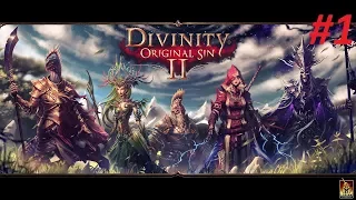 Прохождение. Divinity: Original Sin 2. Побег с корабля, спасение выживших. #1