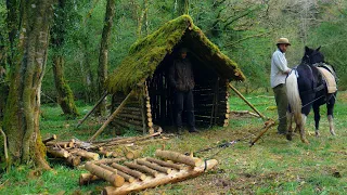 Bushcraft Shelter Build: Friction-fit with ONLY Natural Materials (NO CORDAGE)