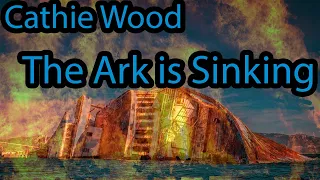 How to actually Profit from Cathie Wood's Ark Invest Fund - Big Ideas 2022 Review