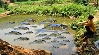 Fish farming, embankment construction, 2-storey house stairs, forest life, 200 days of bushwalking