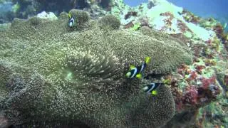 Six Senses Laamu Maldives Diving Fushi Kundu pass