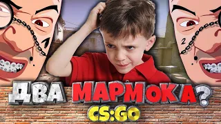 ДВА МАРМОКА! ТРОЛЛИНГ ГОЛОСОМ МАРМОКА В CS:GO #1