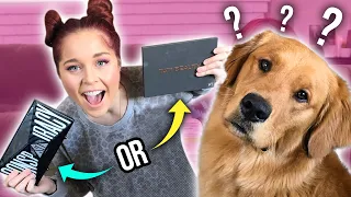 Our Dogs Control Our Lives for a Day?! 24 Hour Challenge