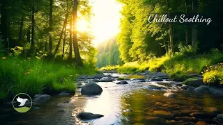 RELAXING MUSIC - Relax And Immerse In Nature With The Sound Of Streams And Soft Piano Music