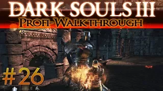 Dark Souls 3 Profi Walkthrough #26 | Garten des verzehrten Königs