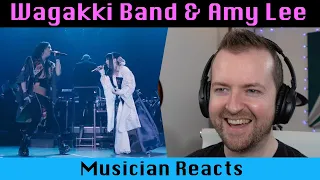 Musician reacts to WAGAKKI BAND Bring Me To Life (live with Amy Lee)
