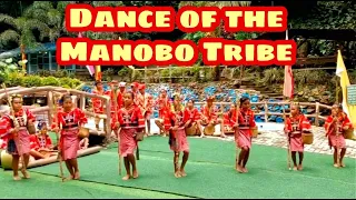 Dance of the Manobo Tribe in President Roxas, Cotabato Province