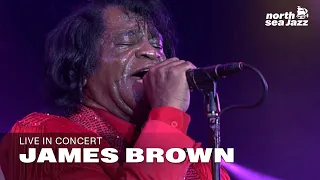 James Brown - 'It's A Man's, Man's, Man's World' [HD] | North Sea Jazz (2004)