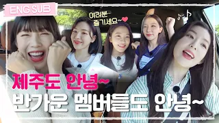 [#레벨업5] 햇살 가득한 제주도여~ 안녕🖐🏻✨ 오랜만에 만난 레벨이도 안녕~💗  #RedVelvet (SUB)