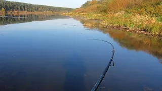 На Волге осенью. Отводной поводок. Crazy Fish Perfect Jig