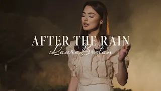 After the rain - Laura Bretan