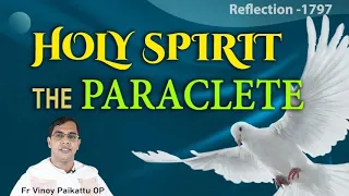 15/05/23 | Reflection 1797 | Fr Vinoy Paikattu  OP | John 15:26 -16:4