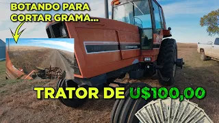 BOTANDO TRATOR DE 100 DOLARES TRABALHAR - INTERNATIONAL 5088 EP-126