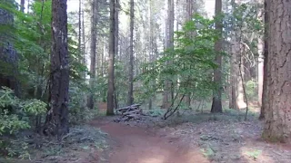 Paradise Lake Hike, CA