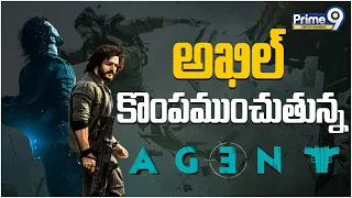 అఖిల్ కొంపముంచుతున్న ఏజెంట్ | Akhil's Agent Movie Updates | Akkineni Akhil | Prime9 Entertainment