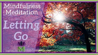 20 Minute Mindfulness Meditation for Letting Go: Symbolism of Fall | Mindful Movement