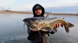 Giant Catfish Through Thin Clear Ice #shorts