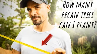 How Far Apart Should I Plant My Pecan Trees? Pecan Tree Spacing Simplified and Explained.