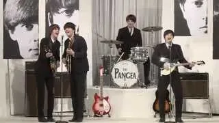 She Loves You, Pangea - The Beatles Revival Band