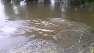 Mysterious River Vortex!!!  WTF?