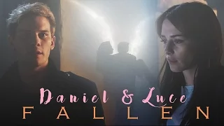 Daniel & Luce || Все на своих местах